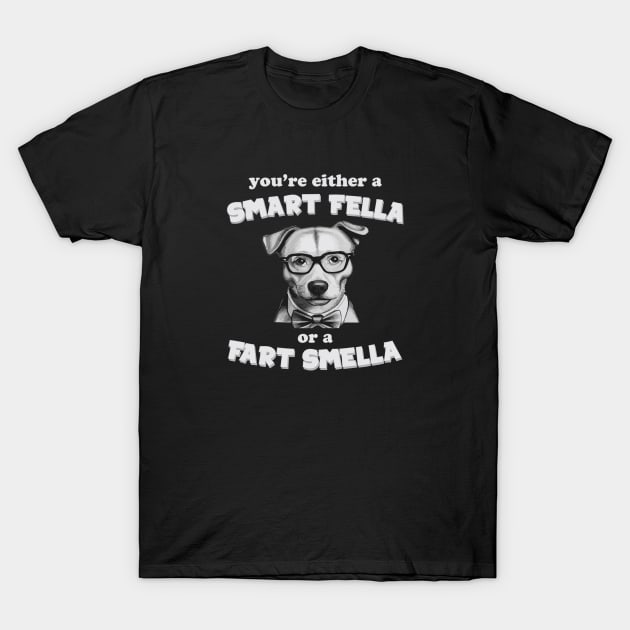 you're either a smart fella or a fart smella T-Shirt by ddesing